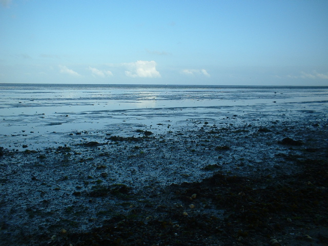 The Wadden Sea (Texel)
