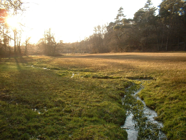 Grassland with wells and a little stream (Springendal)