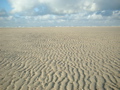The beach near De Slufter (Texel)